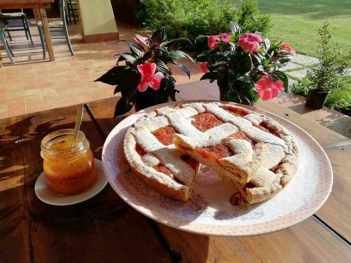 Pian Di Rocca Country Villa Castiglione della Pescaia Ngoại thất bức ảnh