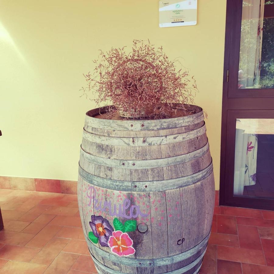 Pian Di Rocca Country Villa Castiglione della Pescaia Ngoại thất bức ảnh
