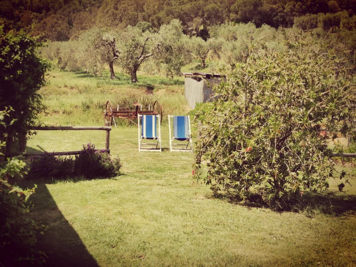 Pian Di Rocca Country Villa Castiglione della Pescaia Ngoại thất bức ảnh