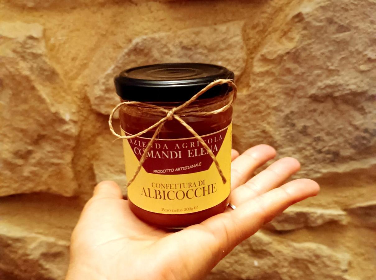 Pian Di Rocca Country Villa Castiglione della Pescaia Ngoại thất bức ảnh