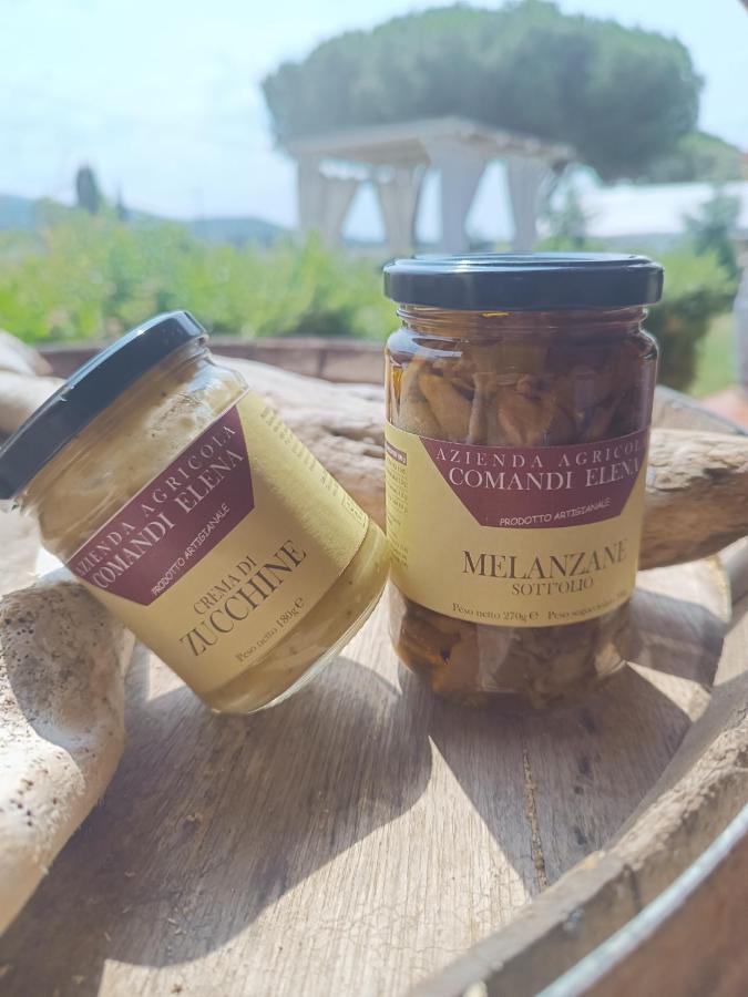 Pian Di Rocca Country Villa Castiglione della Pescaia Ngoại thất bức ảnh